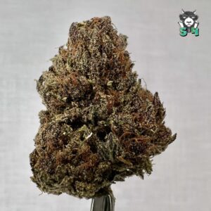 Silver Haze - 48B1