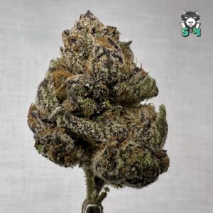 Pink Runtz - 64M9