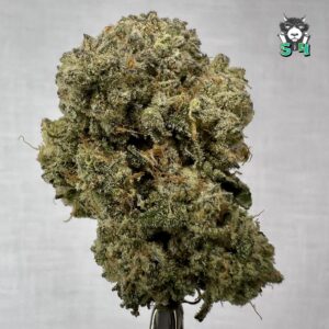 Electric Trip - 75S5