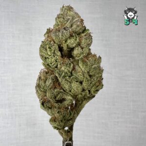 Wedding Cake - 59S7
