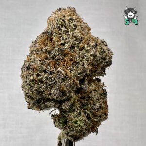 Candy Runtz - 13F2