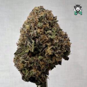 Sherbinksy - 69L4