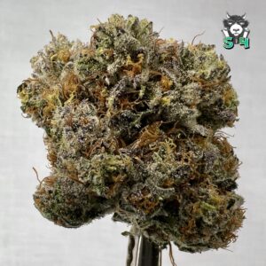 Lemon Meringue - 30I8