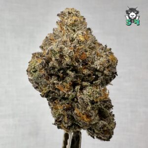 Blitz - 68P4