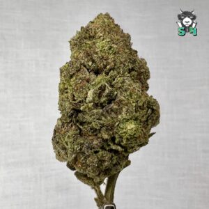 Animal Mints - 67R6
