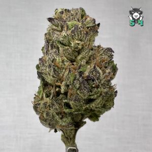 Cherry Cakez - 31R1