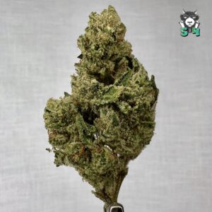 Gorilla Glue - 56M15