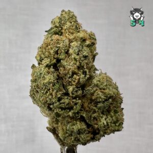 Granimals - 39M15