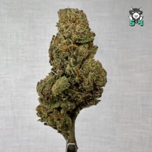 Blueberry OG - 58J7