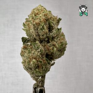 Alien Runtz - 47J7