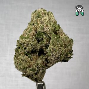 Skittles X Georgia Pie - 49M15