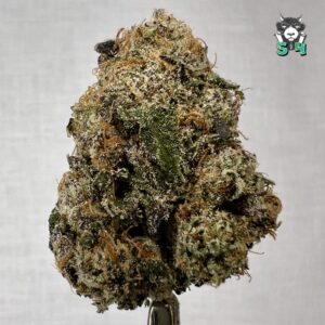 Purple Runtz - 32M9