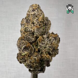 Blue Cherry Nerds - 47B17