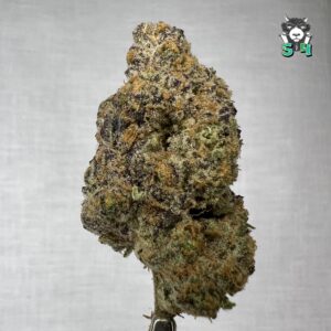 Pink Panther - 79J3