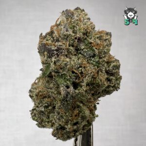 Candy Runtz - 32J28