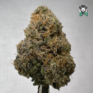 Super Runtz - 63J28