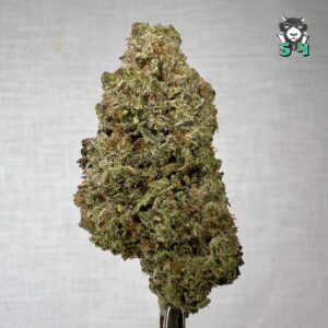 Apple Fritter - 83Q5