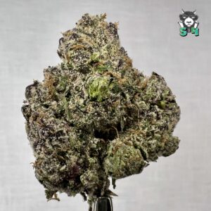 Candy Runtz - 70R2