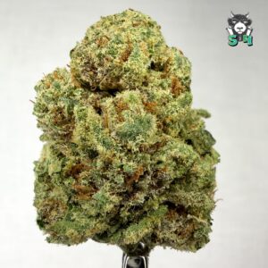 Grapes And Cream - 23C2