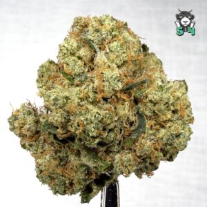 Sour Animal Cookies - 62C14