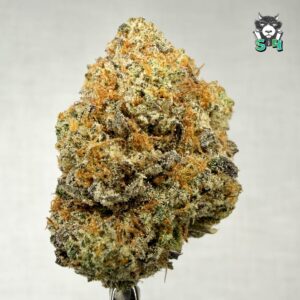 Dosidos - 23C33