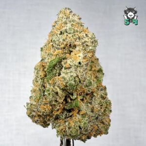 Kosher Tangie - 90B17