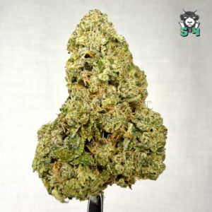 Rainbow Biscotti - 55J1