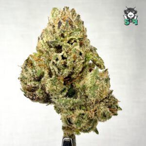 Lemon Cherry Slapz - 95J1