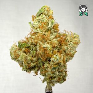 Mango Haze - 83S23