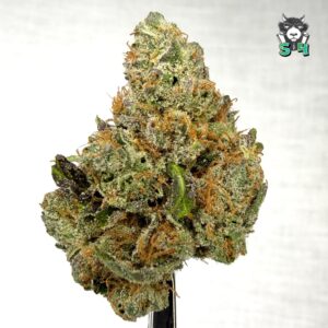 Tropical Cherry - 87Z4