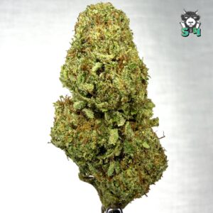 Starburst - 58R1