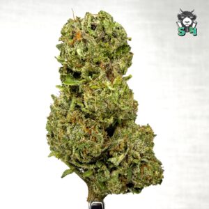 Bacio Gelato - 88R1