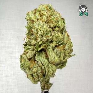 Gorilla Glue - 94F2