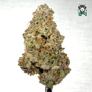 Super Boof - 33D6