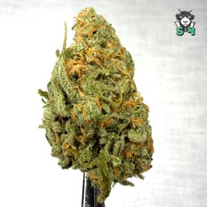 Blue Dream - 54D6