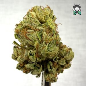 Wedding Cake - 80Q2