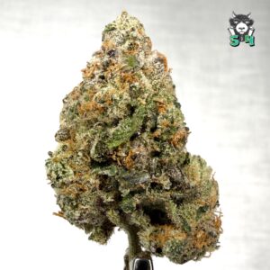 Super Candy - 79M17