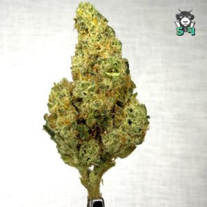 Pineapple Donut - 45J7
