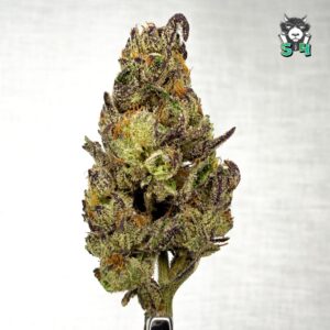 Ice Cream Cake - 54F2