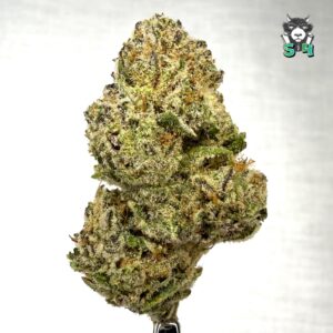 Bahama Berry - 88P1