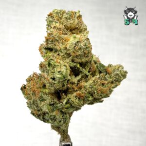 Pineapple Candy - 59M15