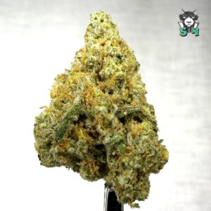 Sherpa Derpa - 63M15