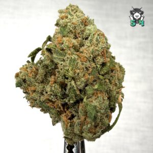 Candy Jack - 87B17