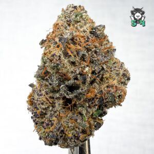 Blue Nerdz - 58R2
