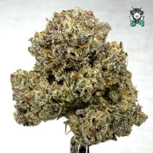 Biscotti Gushers - 65S10