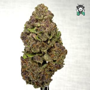 Tropical Cherry - 45T4