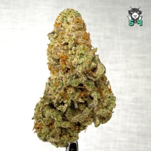 Glitter Bomb - 58A10
