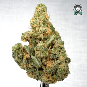 Blue Dream - 30W1
