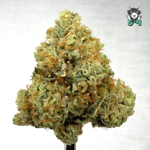 Headband OG - 92S8
