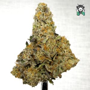 Apple Scottie - 35S8